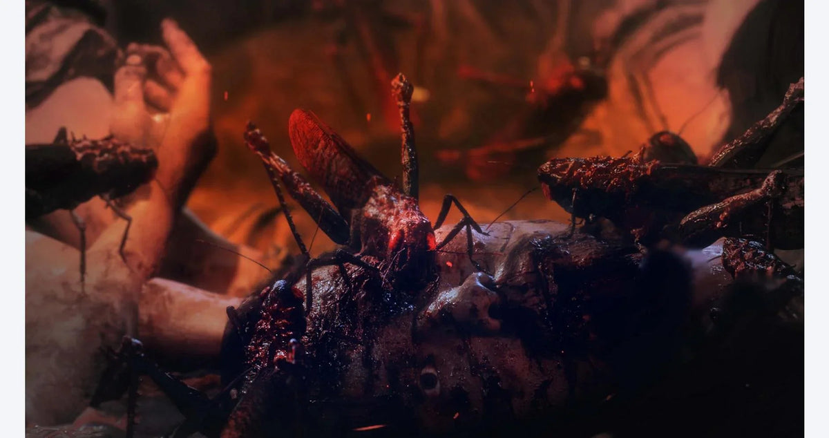 Wo Long: Fallen Dynasty - PlayStation 5 - New